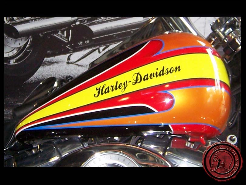 Crazy Dreams Mallorca,Harley Davidson